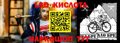 крисы Гагарин