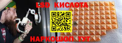 прущие грибы Гай