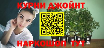 прущие грибы Гай