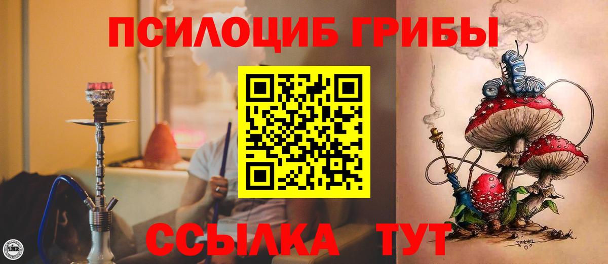 Гусиноозёрск  Галлюциногенные грибы ЛСД  Вход с VPN 